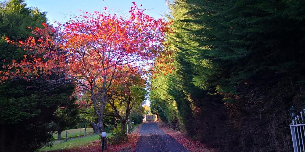 Road Sun Tourist Lodge Dunedin Exterior foto