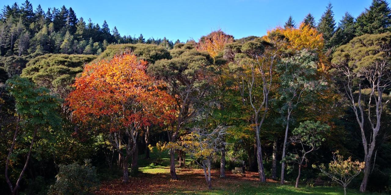 Road Sun Tourist Lodge Dunedin Exterior foto