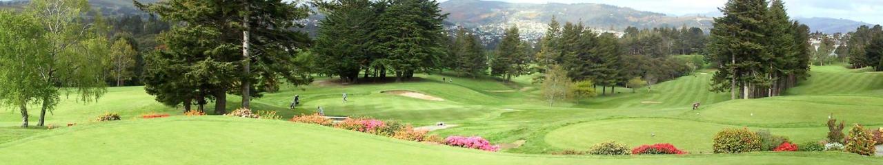 Road Sun Tourist Lodge Dunedin Exterior foto